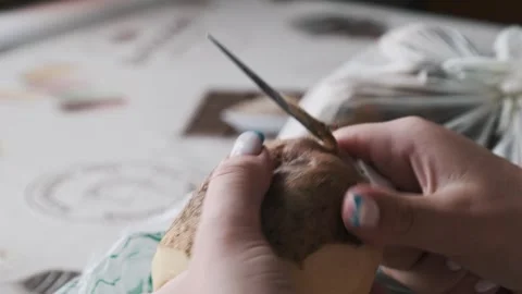 Womans Hands with Manicure Peeling Raw Potato with a Knife Stock Footage 314076124