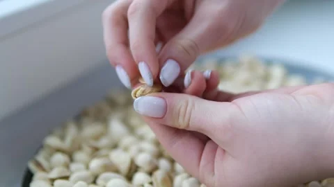 Woman's hands opening a pistachio nut on a table surrounded by more pistachios Stock Footage 302106677