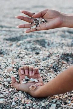 Woman's hands playing with seashells on the beach Stock Photos