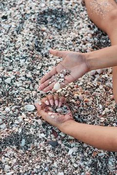 Woman's hands playing with seashells on the beach Stock Photos