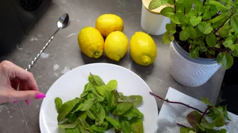 Woman's Hands Preparing Homemade Lemonade with Fresh Lemons and Mint Leaves Video stock 340391525