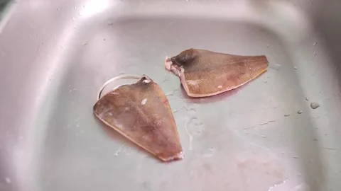 Woman's hands put flounder in the sink in the kitchen. Housewife cooks fish Stock Footage 244515891