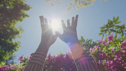 Woman's Hands Reaching For Sunlight In Beautiful Garden, Lens Flare Stock-Footage 129411931