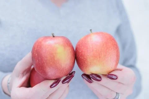 Woman's hands with red long nails are holding a ripe red apple 스톡 사진