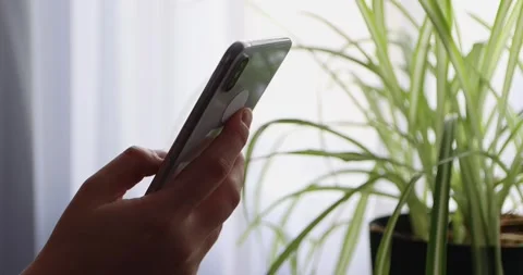 Woman's hands scroll mobile phone keypad to check messages at home in evening Stock Footage 300364088