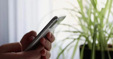 Woman's hands scroll mobile phone keypad to check messages at home in evening Stock Footage 300364090
