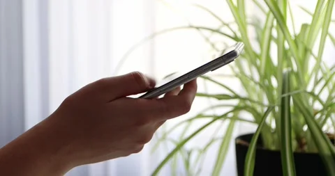 Woman's hands scroll mobile phone keypad to check messages at home in evening Stock-Footage 300364197