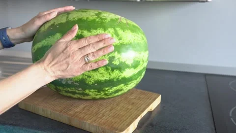 A woman's hands show a watermelon. Stock Footage 342785727