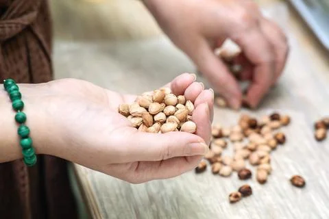 Woman's hands sorting dried cherry pits for crafting handmade toys, showcas.. Stock Photos