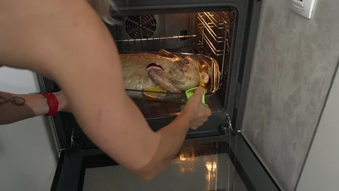 Woman's hands spread by marinade raw goose, stuffed sliced apples. Goose prepare Stock Footage 99586588