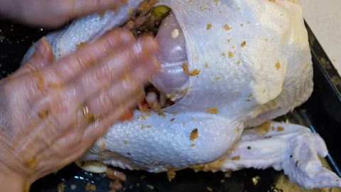 Woman's hands stuffing fresh Turkey for a holiday dinner. Closeup isolated. Stockbeeldmateriaal 129101208