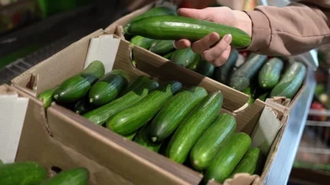 A woman's hands take a cucumber from the shelf at the store Stock Footage 182014304