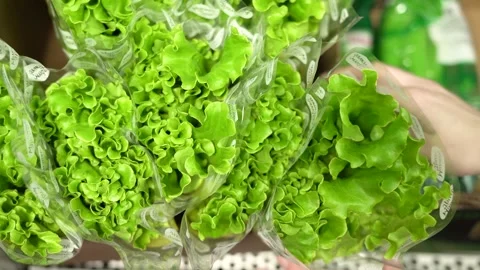 A woman's hands take a lettuce off the shelf at the store Stock Footage 182018591
