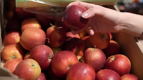 A woman's hands take a red apple from the shelf at the store Stock Footage 181973543