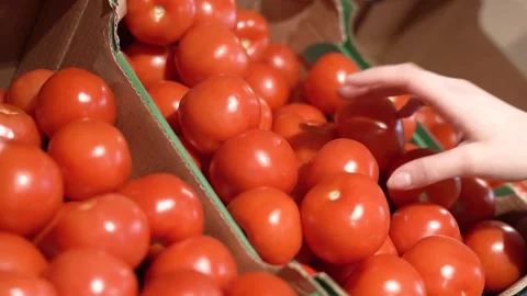 A woman's hands take a tomato from the shelf at the store Stock Footage 182014752