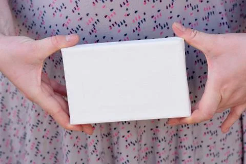 Woman's Hands with Tiny Canvas Stock Photos