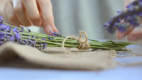Woman's hands tying a bouquet of lavender with twine Stock Footage 198364157