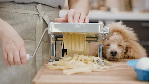 Woman's hands use a pasta cutting machine. 動画素材 86013983