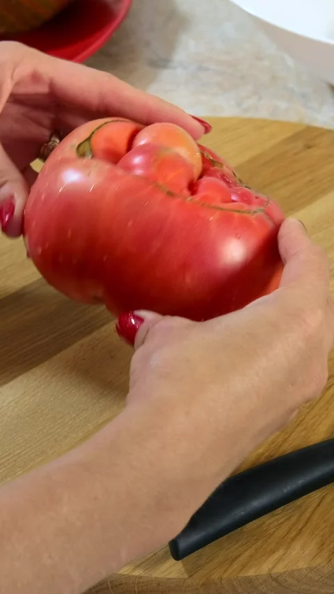 Woman's hands using kitchen knife cutting clumsy, ugly, juicy tomato on wooden Stock-Footage 285484575