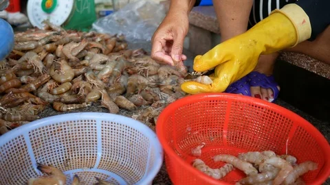 Woman's hands while shelling prawns with a knife, then sorts the shelled shrimp. 스톡 동영상 89640415