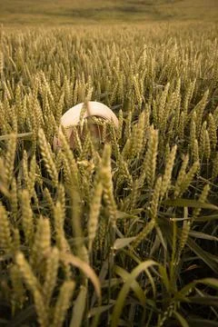Woman's hat in a field Stock Photos