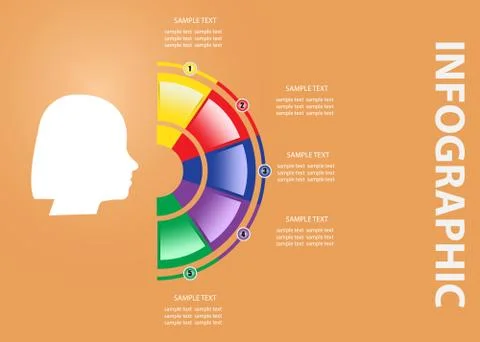 The woman's infographic vector Stock Illustration