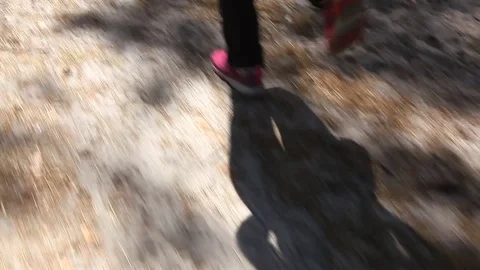 Womans legs run in forest Stockbeeldmateriaal 77961975