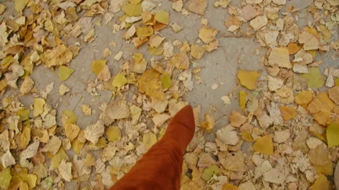 Woman's legs walking in autumn park Stock Footage 170669953