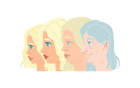 Womans life cycle set concept. Illustration of woman in different age from young Stock Illustration