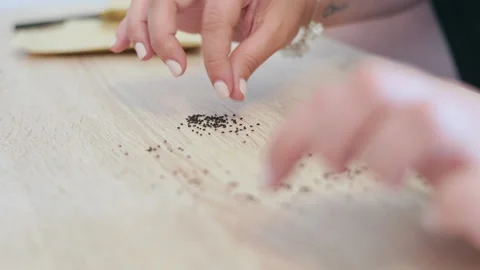 Woman's manicured hands carefully select tiny black basil seeds on a wooden Stock Footage 343385981