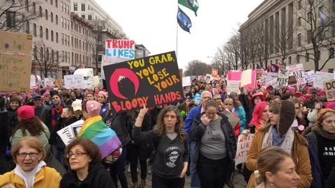 Womans March 2017 Stockbeeldmateriaal 86173343