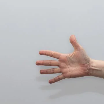 Woman's open hand displaying five fingers extended, set against a neutral g.. Foto stock