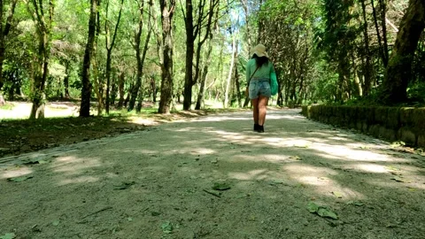 A Woman's Path Through Nature Stock Footage 276735890