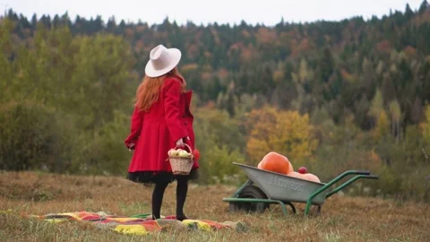 A woman's red clothes bring brightness to autumn nature at a picnic. Harvest and Stock Footage 249741393
