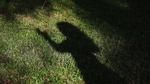 Womans shadow on lawn Stock Footage 305154490
