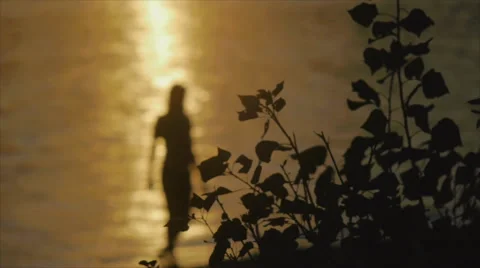 Woman’s Silhouette On A Beach At Sunset Stock Footage 54897120