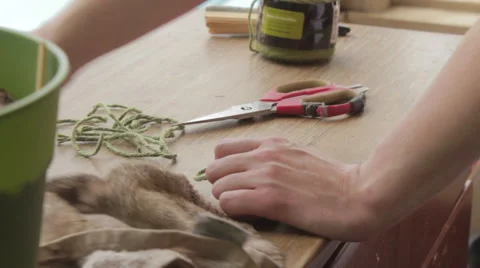 Woman's Soft Hands Cut Twine for Garden on Table CU Stock Footage 41198714
