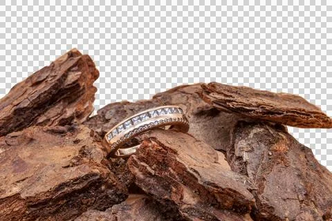 A woman's wedding ring on a tree with no background Stock Photos