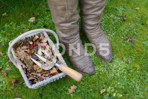 Woman's winter boots next to a basket of autumn leaves Stock Photos