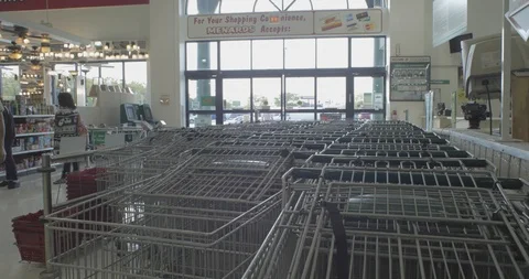 WomanShoppingHardwareStore Stock Footage 88838408