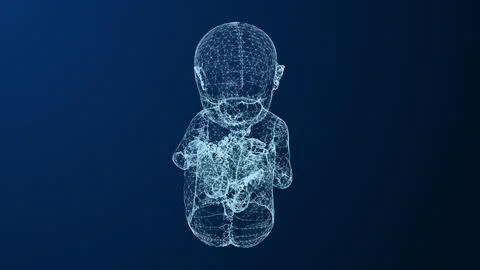 Womb development of the fetus within the plexus Stock Illustration