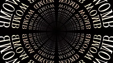 WOMB Keyword Animation, 3D Pattern, Background Loop. Feminine goddess concept. Stock Footage 252080613