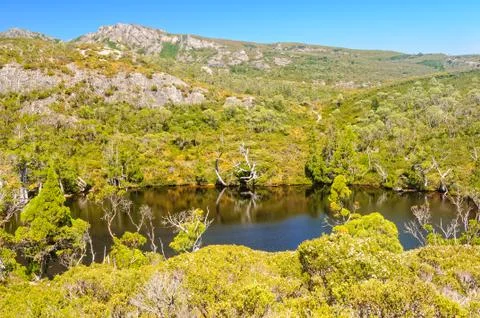 Wombat Pool - Cradle Mountain Foto stock