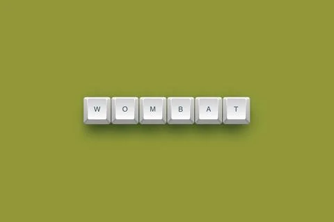 Wombat text on a 3d keyboard button with shadow concept series 스톡 일러스트