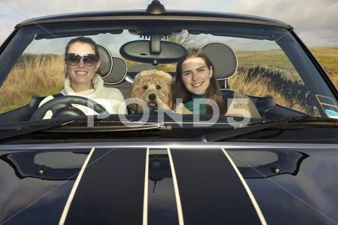 Women And Dog Driving In Rural Landscape