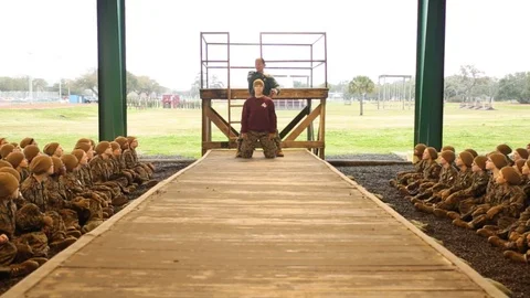 Women in basic training learn hand to hand combat techniques. Stock Footage 123368455