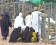 Women in Burqa Sitting SD Footage