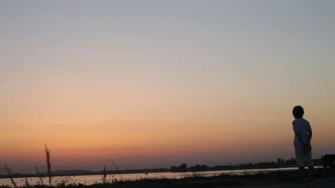 Women Dog On Lake Shore Sunset Backlit Silhouette Stock Footage