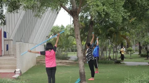 Women exercise in the park Stock Footage 243365714