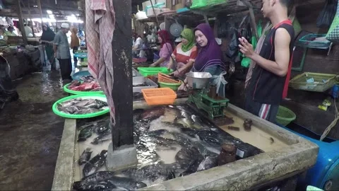 Women Fishmongers butchering fish, Food ... | Stock Video